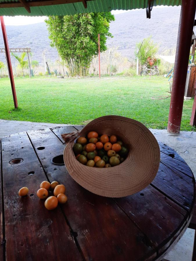 La Cabana De Blanca 加尔潘 外观 照片